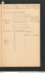 Seite 9, Tagebuch "Munzingen, WildKirchli, Achenheim, Metternich, Rhens, Basel" (NHMW-PRAE-BBB-29)